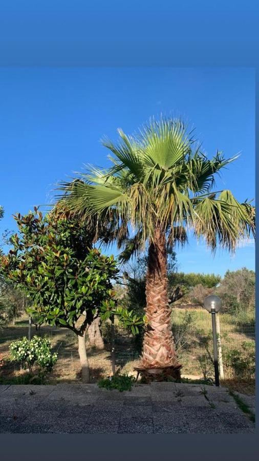 Tenuta Punta Della Suina Villa Gallipoli Bagian luar foto